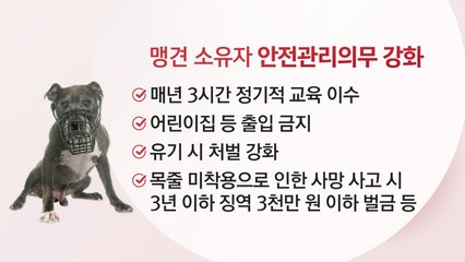 개정 동물보호법...맹견 소유주 의무 강화 / YTN