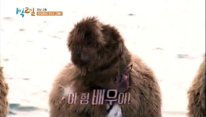 인증 업체 골드카지노 온라인카지노 결과 골드카지노 주소