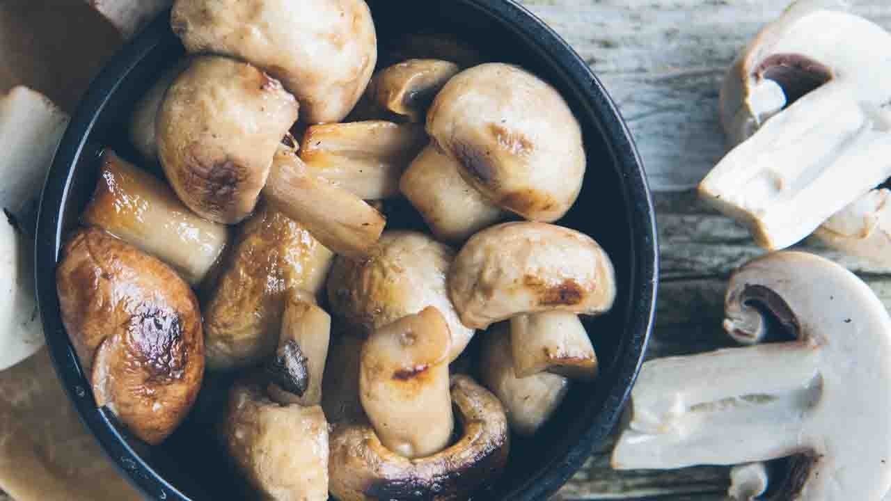 Neue Studie: Pilze sind gut für das Gehirn