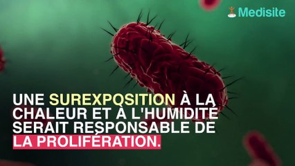 Vos toilettes sont plus propre que l’intérieur des voitures