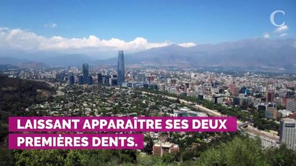 VIDEO. Eva Longoria célèbre les neuf mois de son fils Santiago