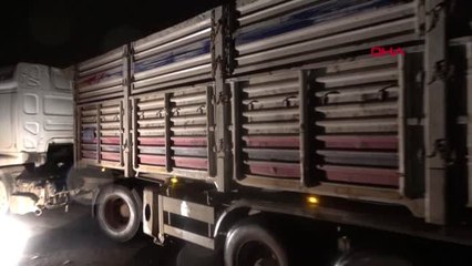 Gaziantep'te 638 Bin Paket Kaçak Sigara Ele Geçirildi