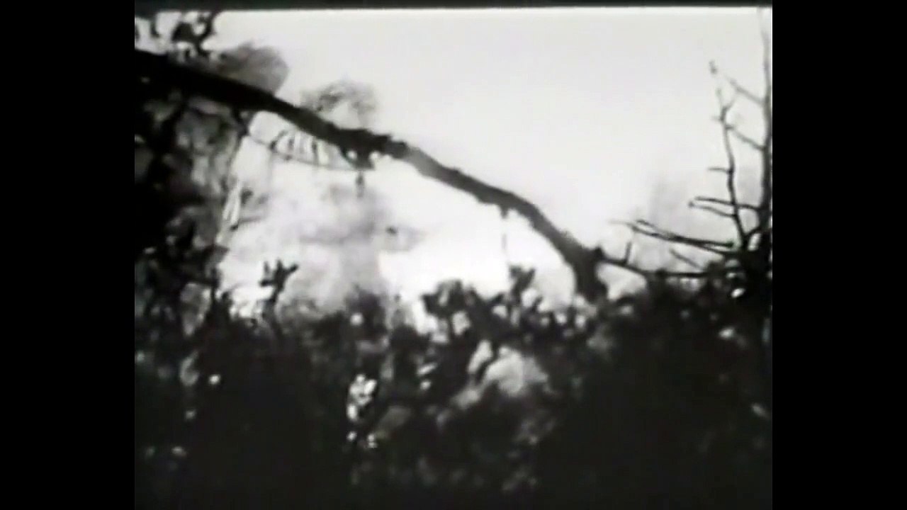 Varan (1958 film) - First Rampage