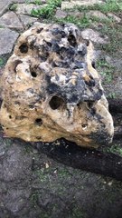 Strange Stone Believed to Have Fallen from Sky