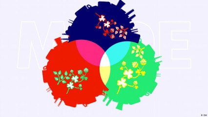 تاريخ الألوان: كيف تطورت الألوان عبر العصور 🎨