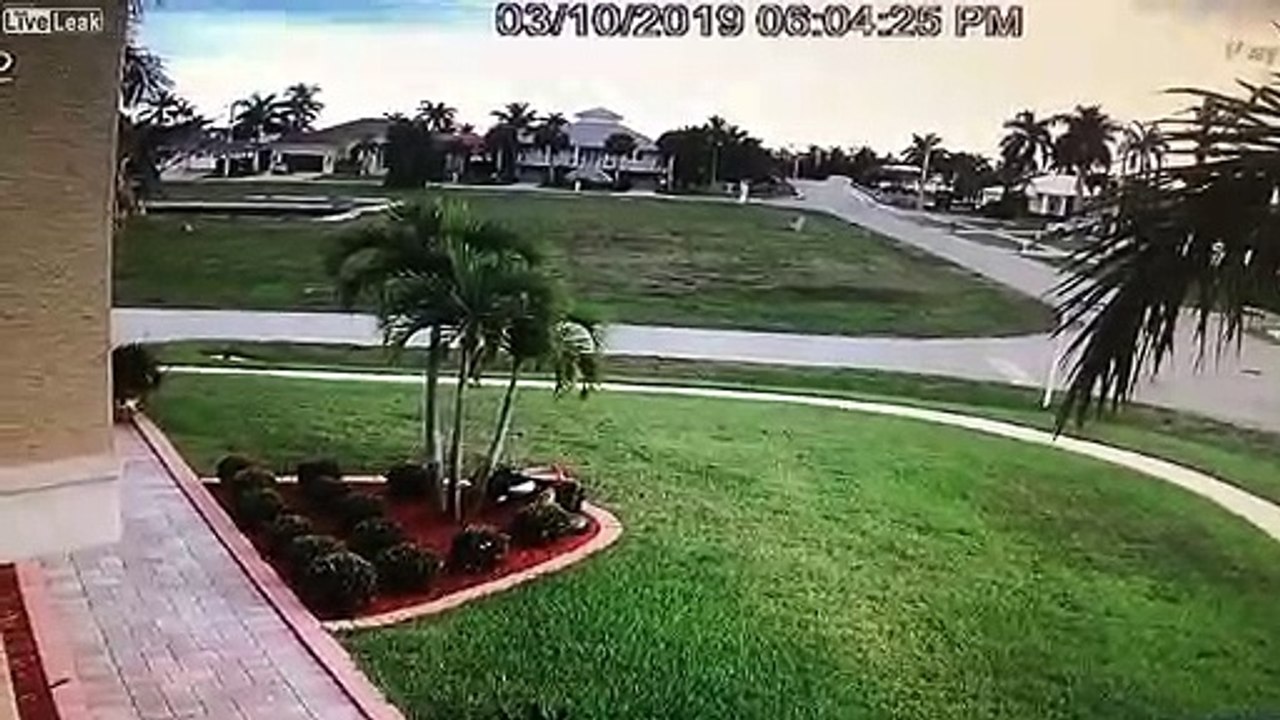 En voiture, ils plongent dans la piscine du quartier !