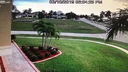 En voiture, ils plongent dans la piscine du quartier !