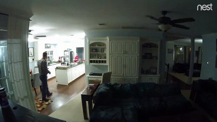 Il se frappe le visage en tapant dans la balle du chien !