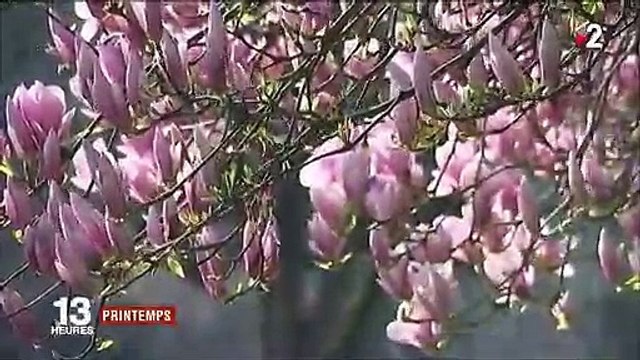 Saisons : le printemps, c'est quand ?