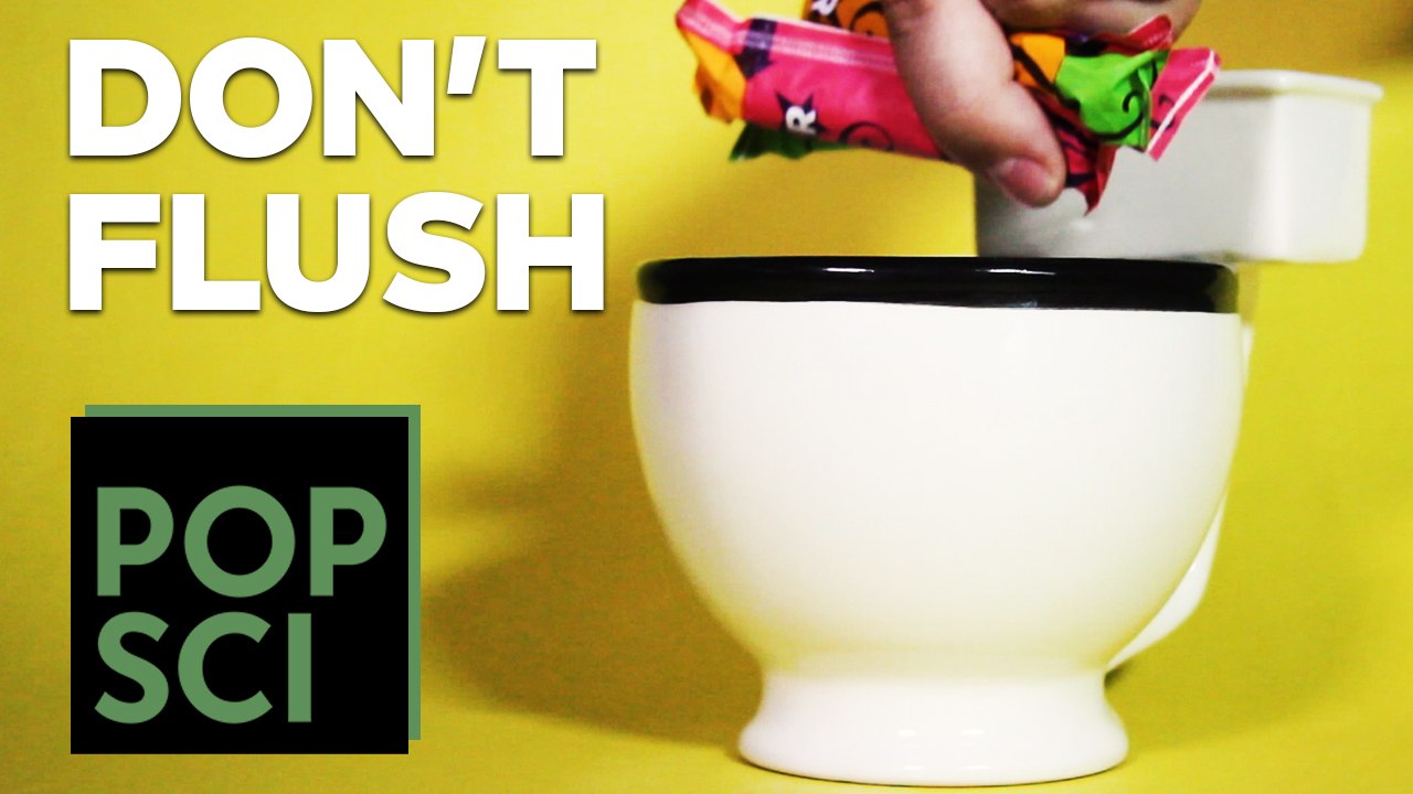 Never, EVER Flush These Things Down a Toilet