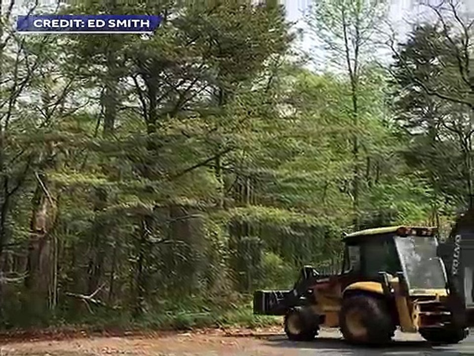 An allergy sufferer's worst nightmare