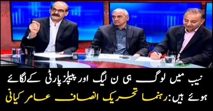 NAB has officers appointed by PPP, PML-N: Aamir Kayani