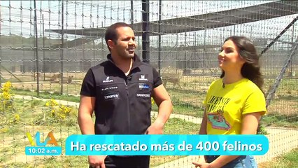 ¡El santuario de felinos más grande del mundo! | Venga la Alegr´ía
