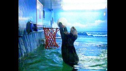 Otters Play Basketball