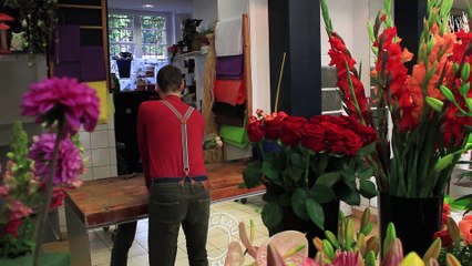 papillon du paradis erzy