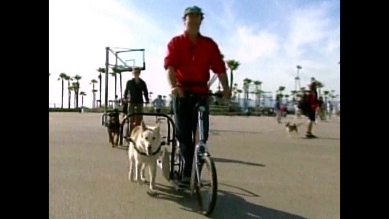 Dog-Powered Scooter!