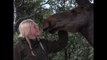 Woman Adopts Moose