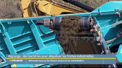 viàMirabelleInfo du mercredi 20 mars 2019 OK2
