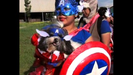 Animal Avengers!