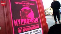 Hipnotize Eden Köpek: Oscar