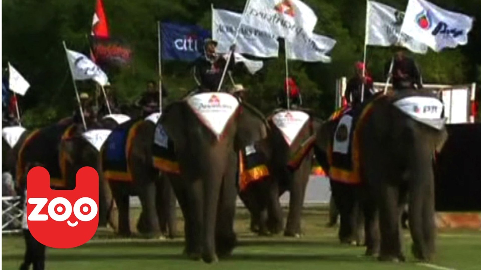 ⁣Elephants Play Polo