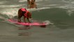 Surfing Dogs Hit The Waves