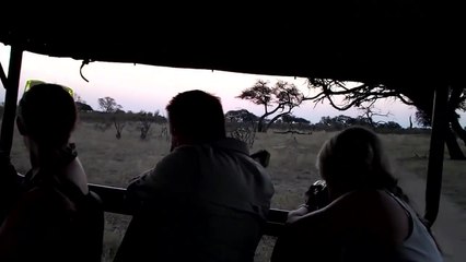 Understanding the Killing of Cecil the Lion