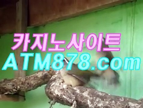 ね플레이텍카지노 ▷STK424. CΟM◁