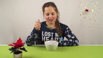 German Kids try international Christmas Foods - Part 1