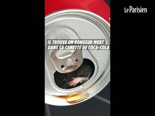 Il retrouve un rongeur dans sa canette de Coca-Cola