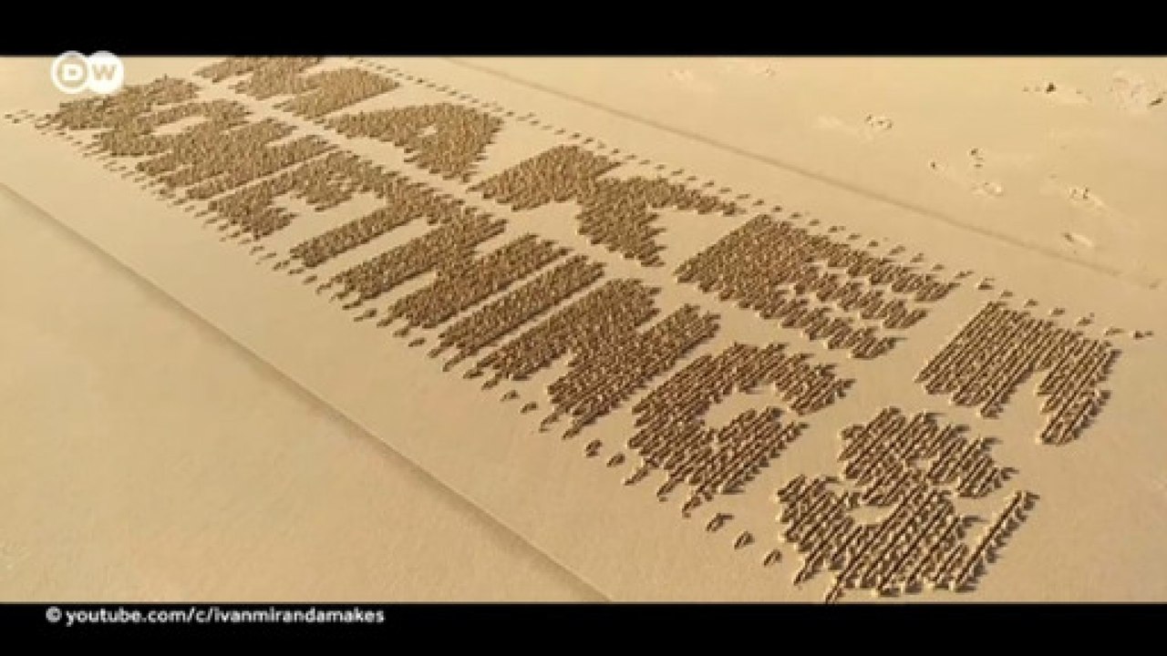 O “Professor Pardal” da internet espanhola