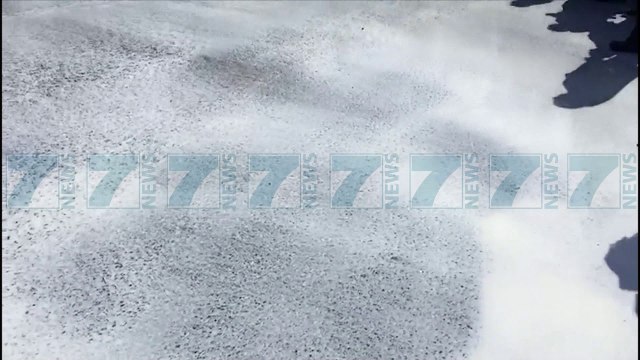 FERMERET SERISH BLLOKOJNE RRUGEN PER TVSH, HEDHIN QUMESHTIN - News, Lajme - Kanali 7