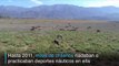 La sequía hace desaparecer un atractivo turístico en Chile
