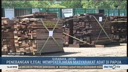 Kayu Ilegal Asal Papua Senilai Lebih dari Rp165 M Disita