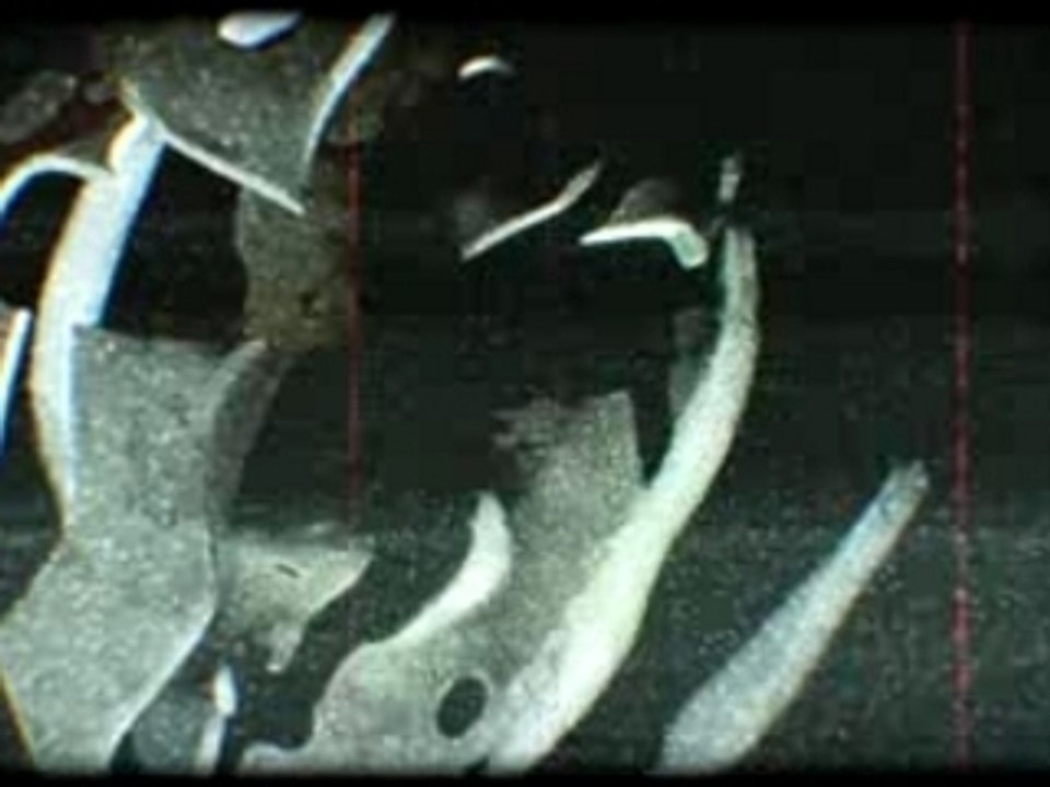 Angerfist - Mutilate