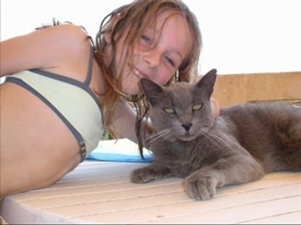 Les animaux