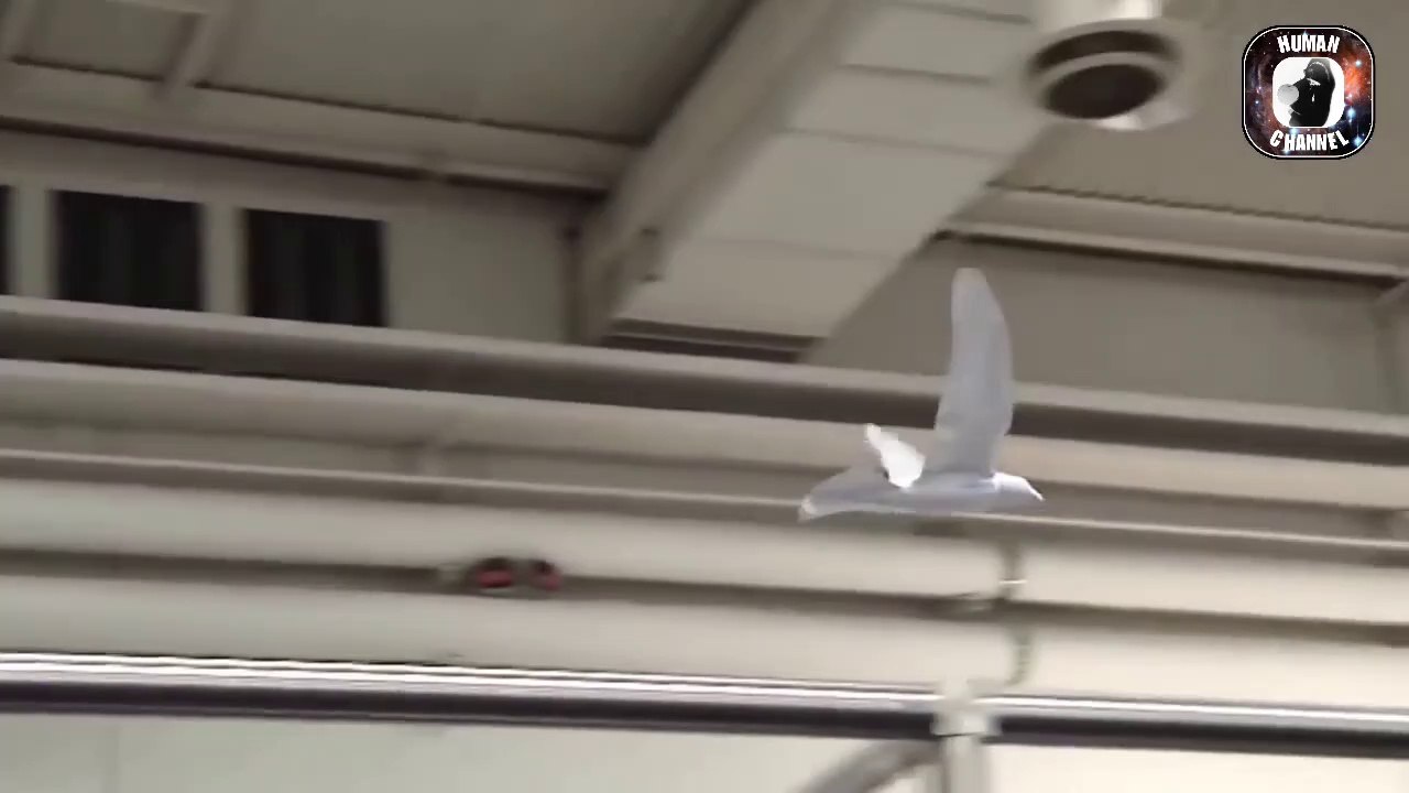 どんな場所でも潜入する進化系ドローン