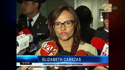 Alianza País impulsará investigación sobre denuncias contra Moreno