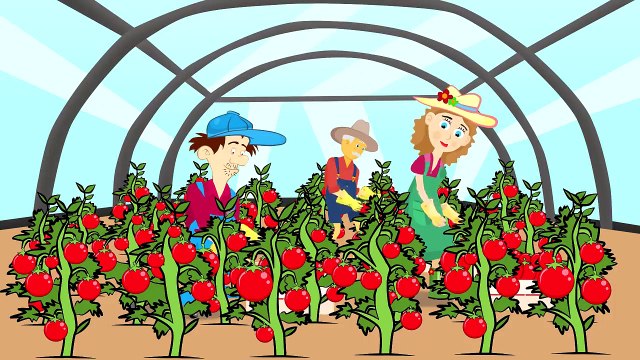 Mini excavator - Construction Machinery For Baby | Excavator Street Vehicles | Bajki Koparki Dzieci