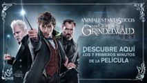 Primeros Minutos de la Película Animales Fantásticos Los Crímenes de Grindelwald