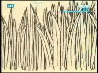 Matthieu Chedid - Ma mélodie