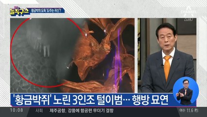 ‘80억 황금박쥐’ 노린 3인조 털이범…행방 묘연