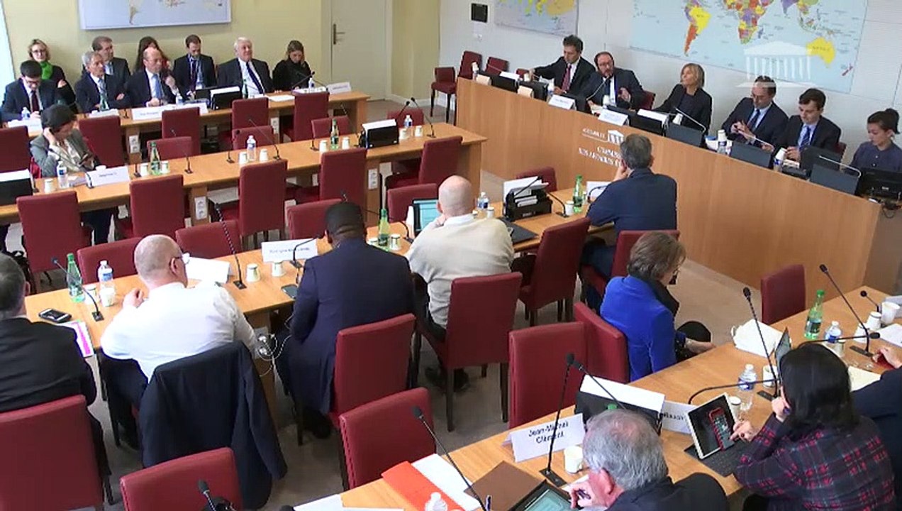 Commission des affaires étrangères : Projets de lois d’accords internationaux - Mercredi 20 mars 2019