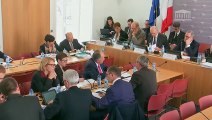 CEC : M. Didier Migaud, Premier président de la Cour des comptes, sur l’accès aux services publics dans les territoires ruraux - Mercredi 20 mars 2019