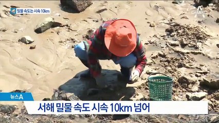 물 차는 줄도 모르고…조개 잡다 사람 잡는 해루질