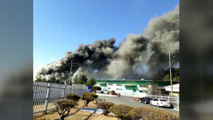 자동차 시트 제작업체서 불...40분만에 진화 / YTN