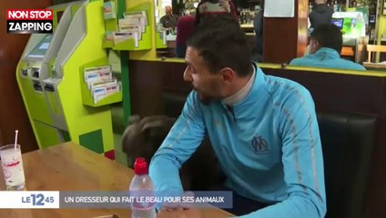 Oiseau Tyson : Le dresseur incroyable qui fascine les internautes (vidéo)