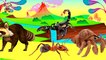 Wild animals walk videos for kids - Learn Wild Animals Name & Sounds For Kids - Kids And Toys