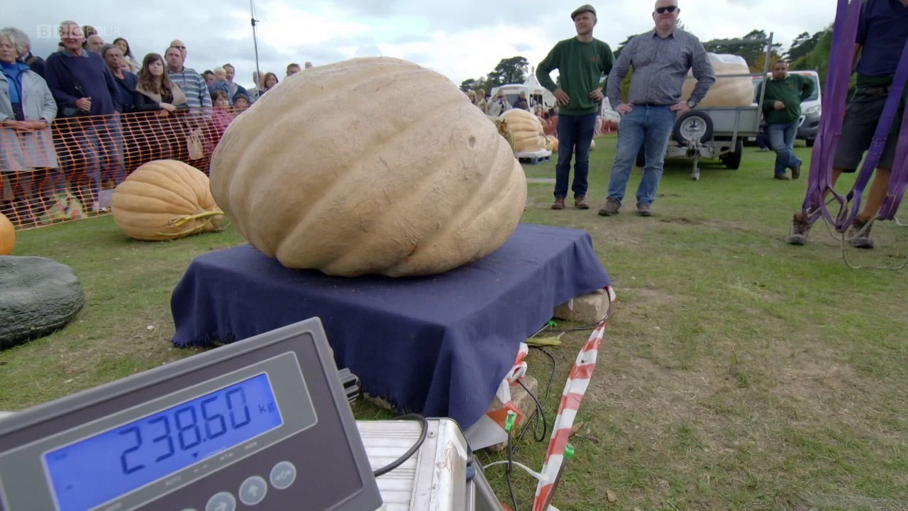 Size Matters with Hannah Fry 1of2 Big Trouble