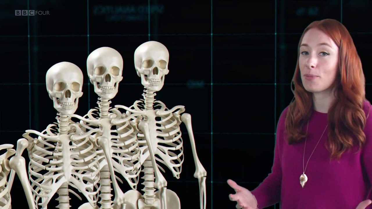 Size Matters with Hannah Fry 2of2 That Shrinking Feeling